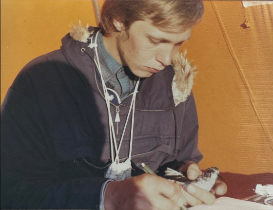 Leon ringmerker svømmesnipe på Skjaaholmen i 1973.png